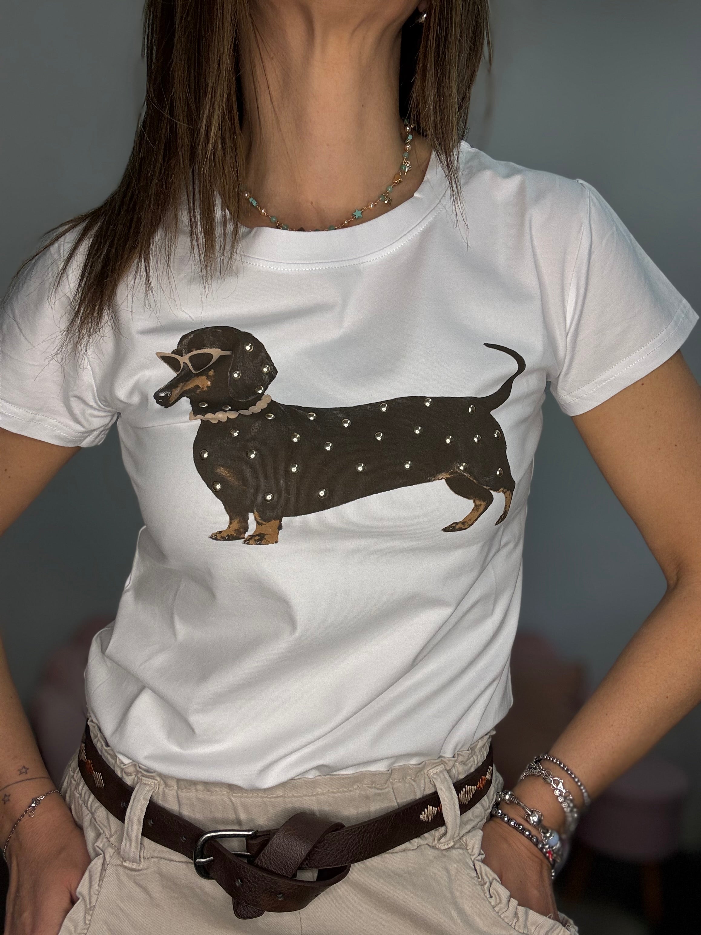 La t-shirt del collare colorato