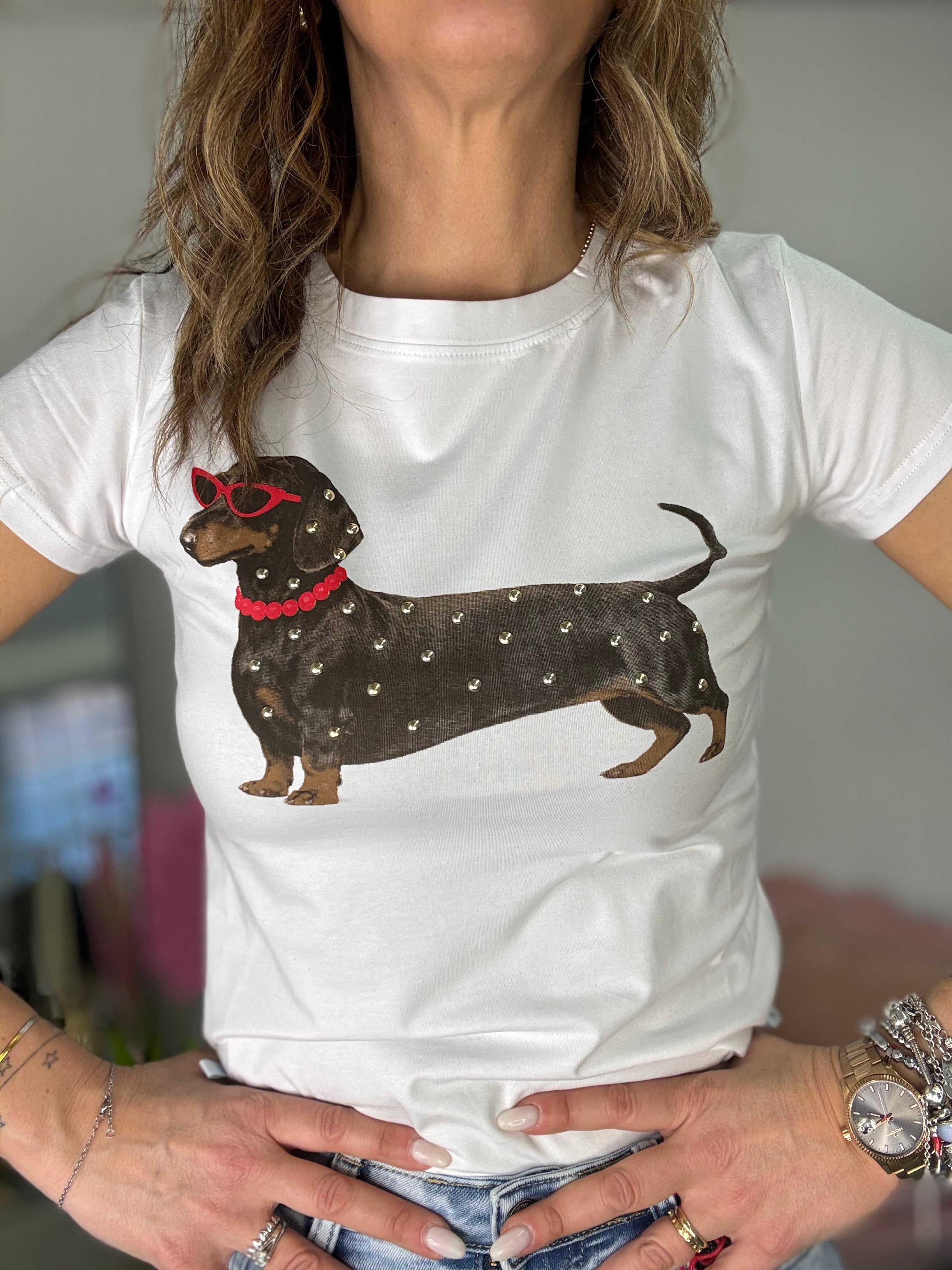 La t-shirt del collare rosso o azzurro