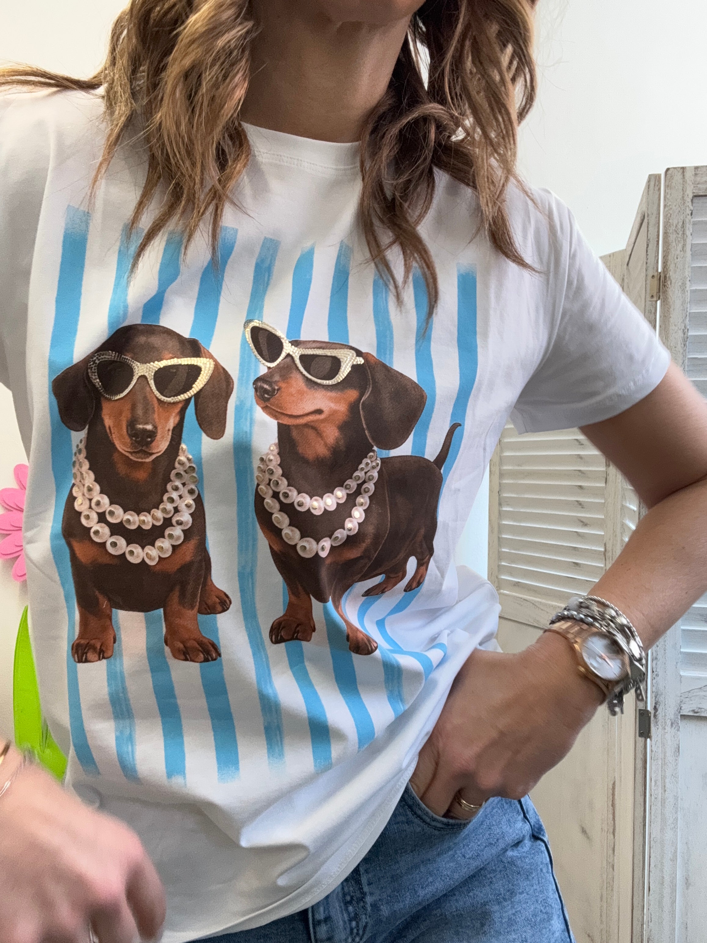 T-shirt prison dogs