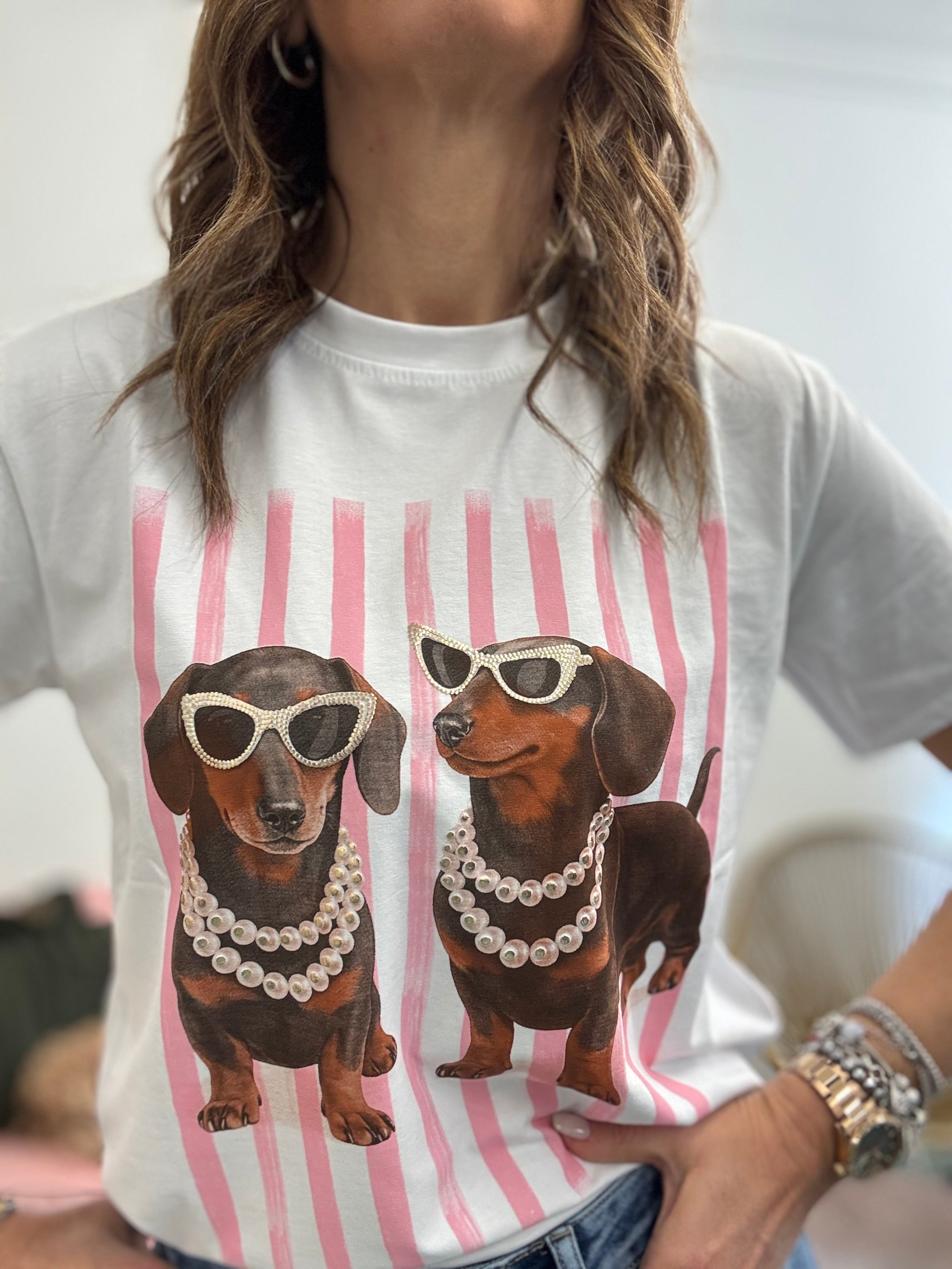 T-shirt prison dogs